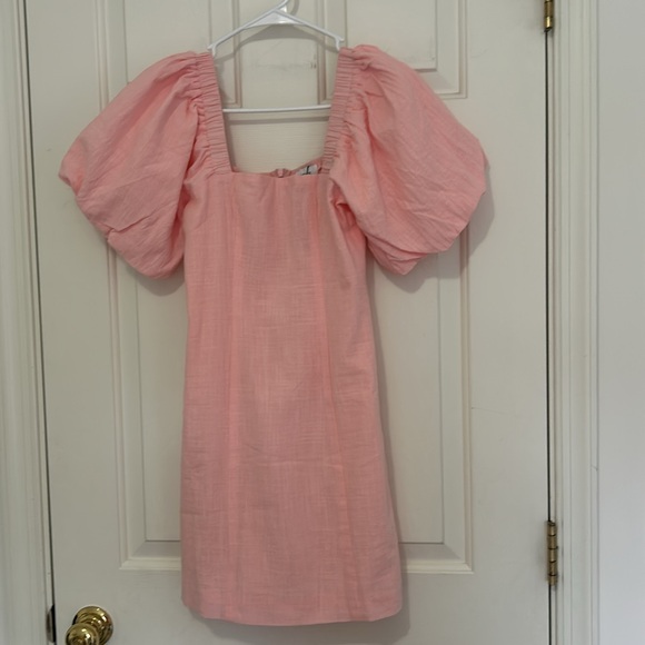 Light Pink Petal & Pup Mini Dress - Picture 2 of 4